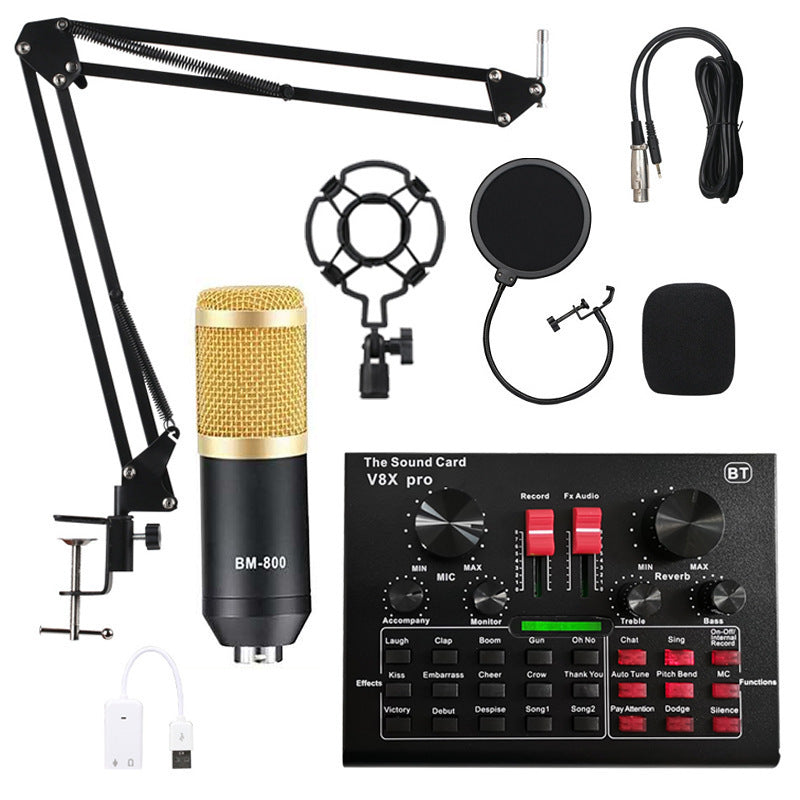 Microphone Enregistrement Microphone À Condensateur Ensemble